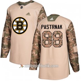 Män Ishockey Boston Bruins Tröja David Pastrnak 88 Adidas 2017-2018 Camo Veterans Day Practice Authentic